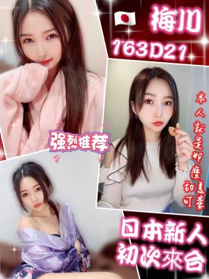 梅川 外送 21 D 163/45kg