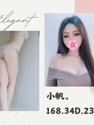 台北外送茶:小帆 168/D/23Y