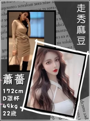 台北外送茶:蕭薔 172/49/D/22Y