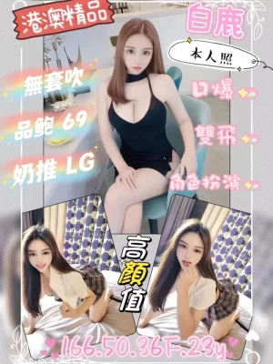 台北定點茶:白鹿 166/36F/50KG