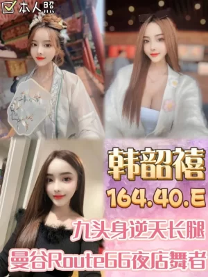 桃園定點茶: 韓韶禧 164/40/E