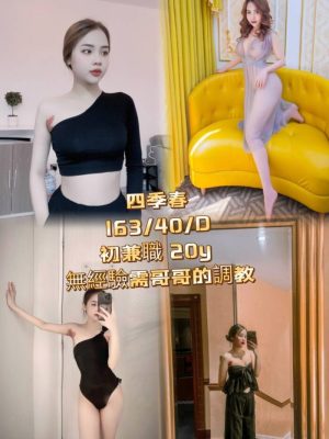 高雄定點茶:四季春 163/40/D